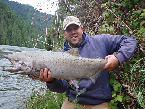 salmon2011 002.jpg